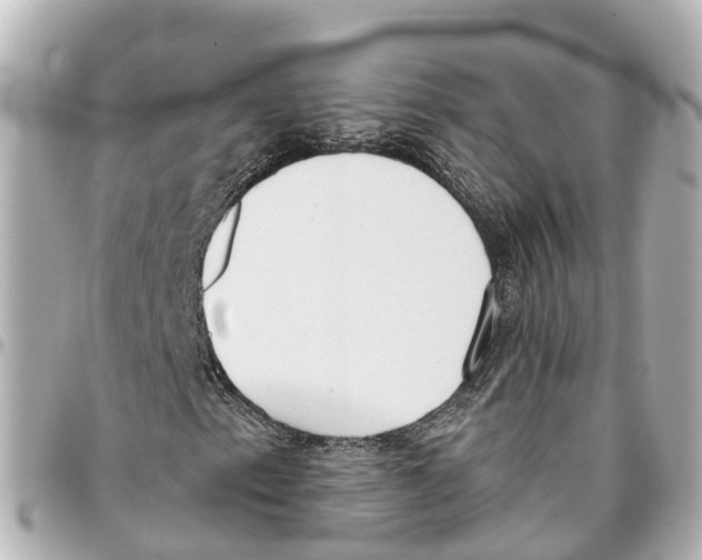 X0000093361153200711081508