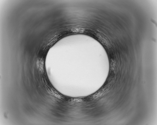 X0000093361154200711081508