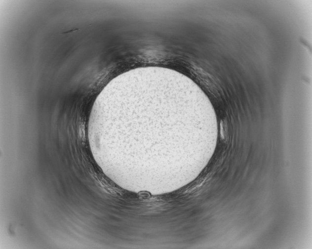 X0000093361155200711081508