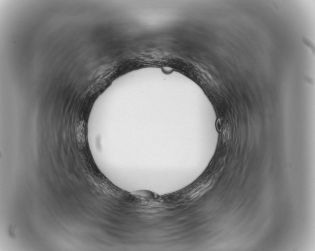 X0000093361156200711081508