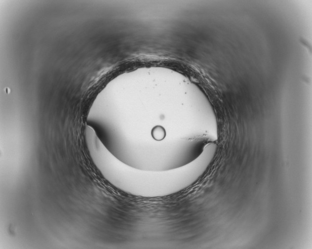 X0000093361157200711081508