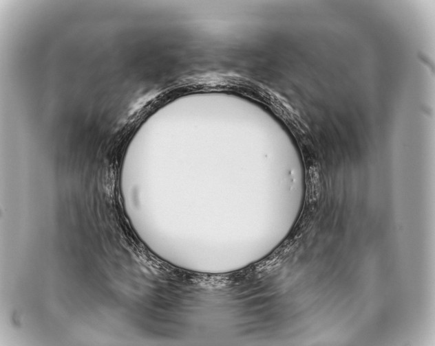X0000093361158200711081508