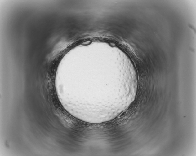 X0000093361159200711081508