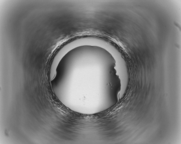 X0000093361160200711081508