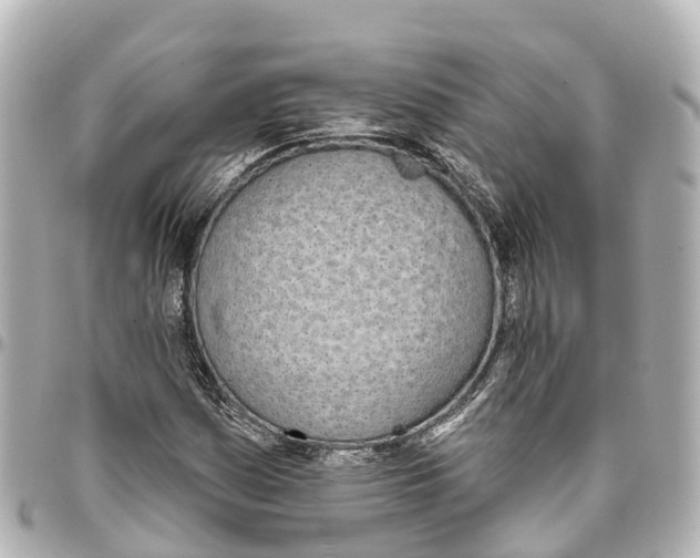 X0000093361161200711081508