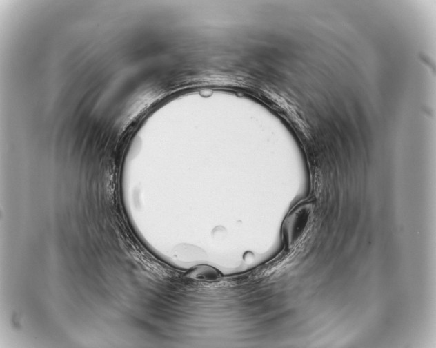 X0000093361163200711081508