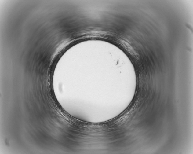 X0000093361164200711081508