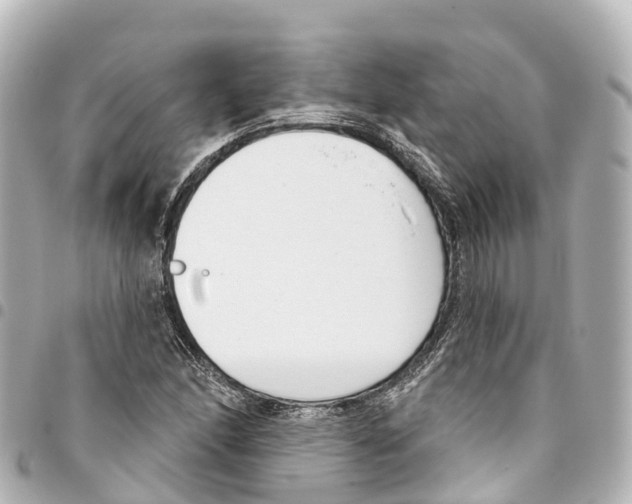 X0000093361166200711081508