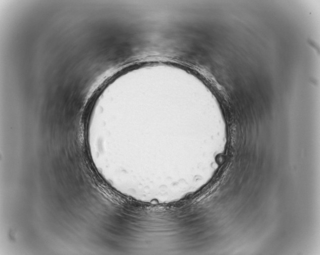 X0000093361167200711081508