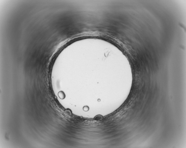 X0000093361168200711081508