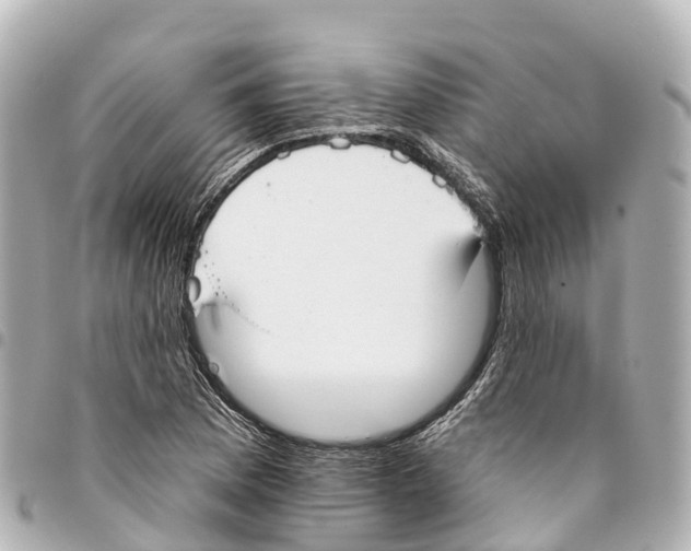 X0000093361169200711081508