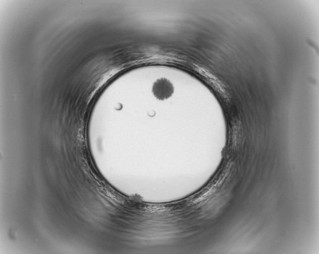X0000093361170200711081508