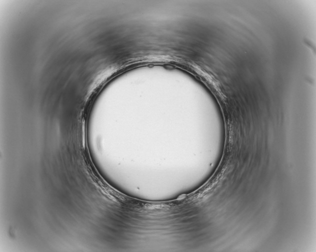 X0000093361171200711081508
