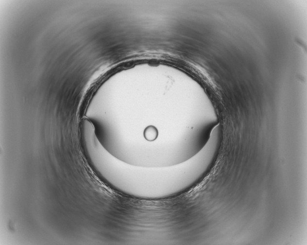 X0000093361172200711081508