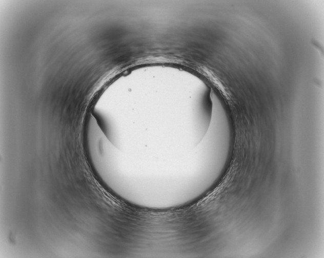 X0000093361173200711081508
