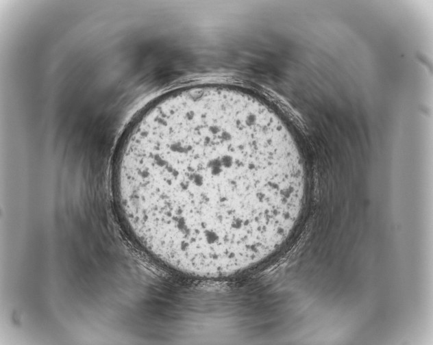 X0000093361174200711081508