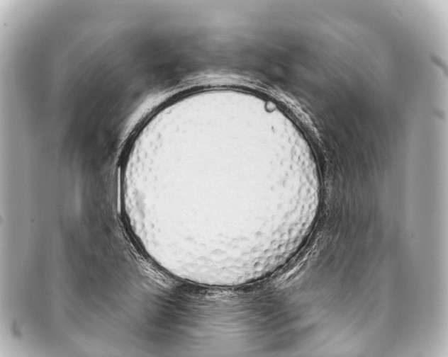 X0000093361175200711081508