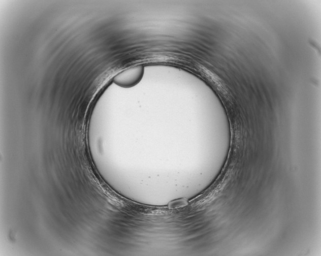 X0000093361178200711081508