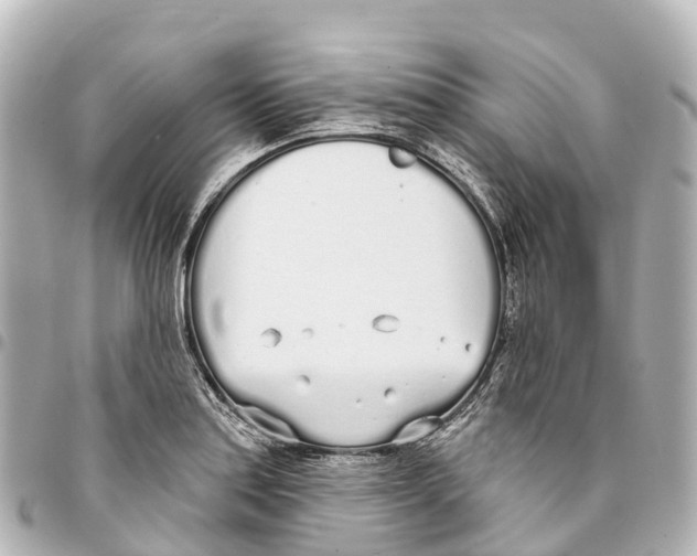 X0000093361179200711081508