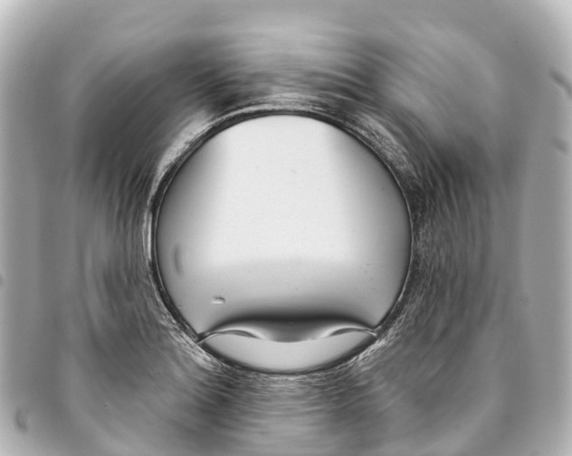 X0000093361180200711081508