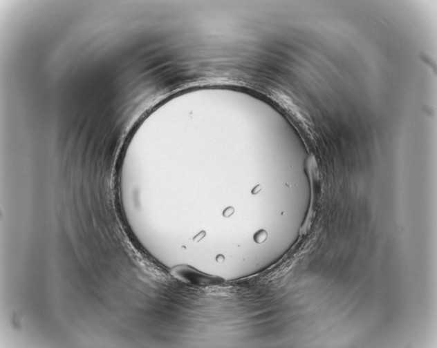 X0000093361181200711081508