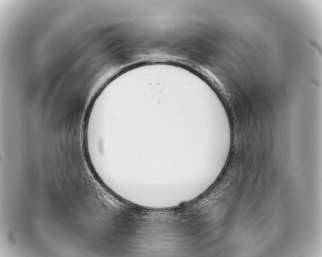 X0000093361183200711081508
