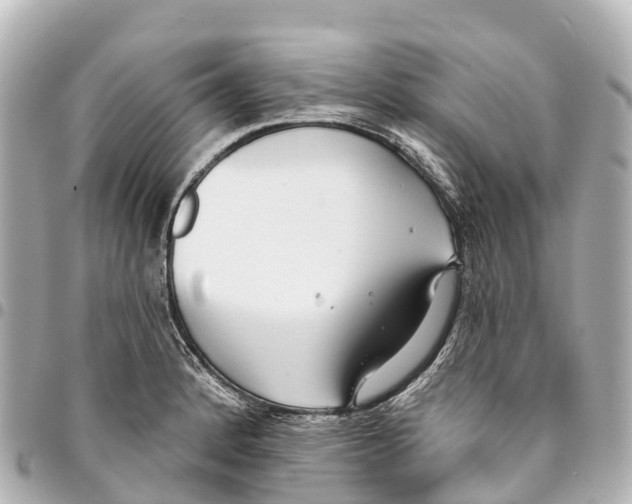 X0000093361184200711081508