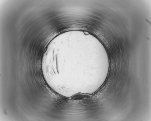 X0000093361185200711081508