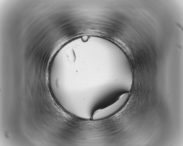 X0000093361188200711081508