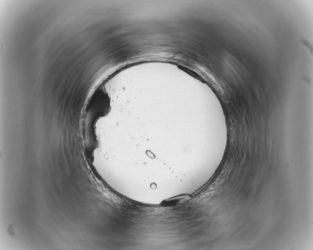 X0000093361192200711081508