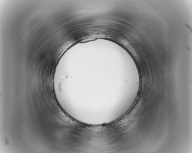 X0000093361193200711081508