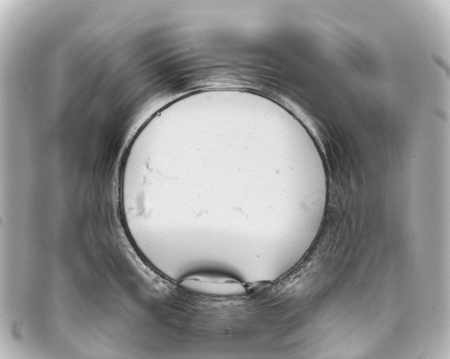 X0000093361195200711081508