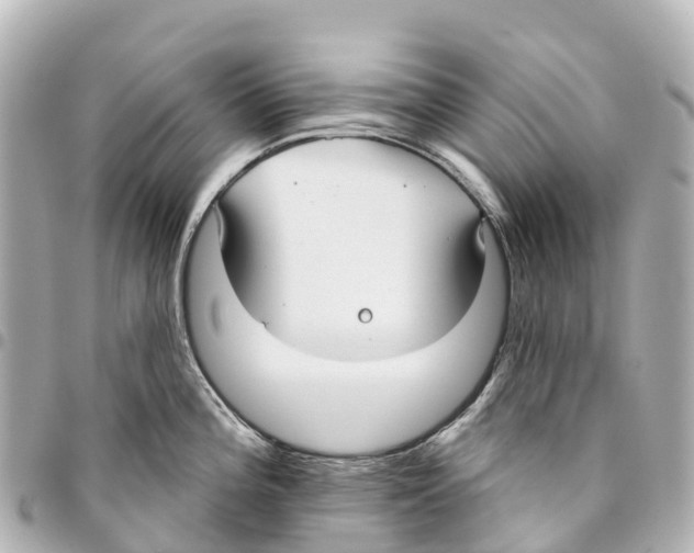 X0000093361196200711081508
