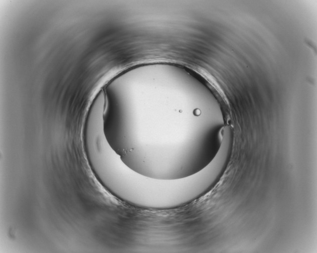 X0000093361197200711081508