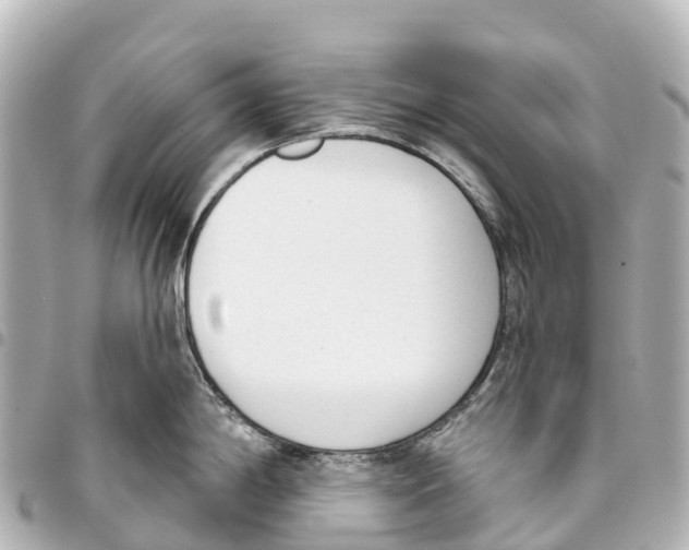 X0000093361198200711081508