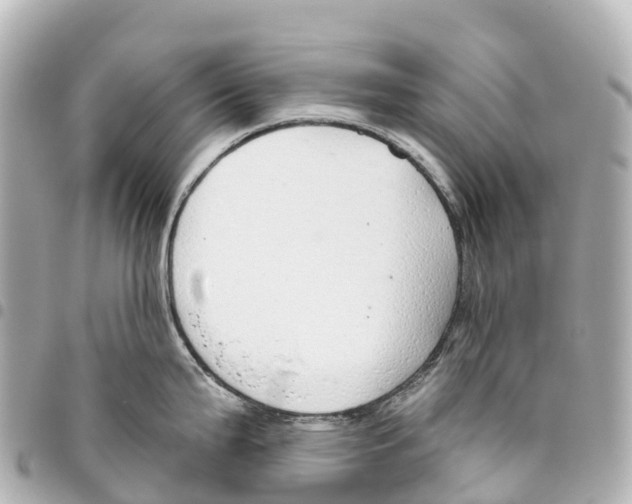 X0000093361199200711081508