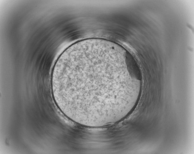 X0000093361200200711081508