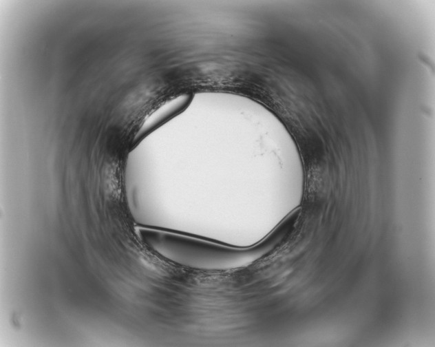 X0000093361202200711081507