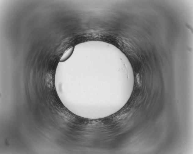 X0000093361203200711081507