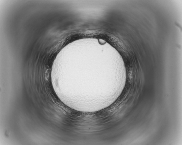 X0000093361204200711081507