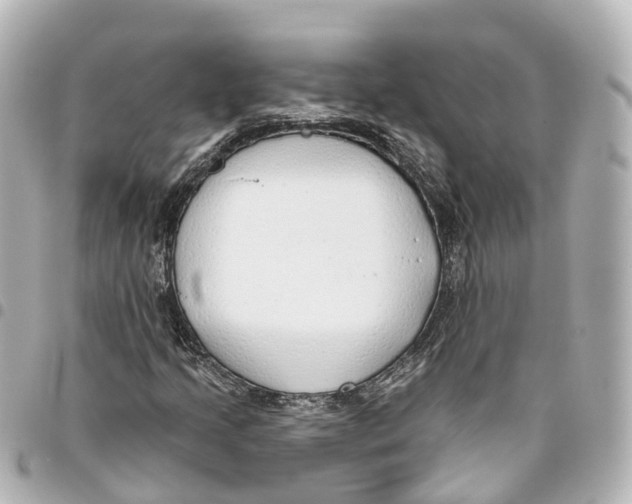X0000093361205200711081507