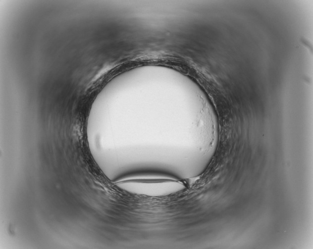 X0000093361206200711081507
