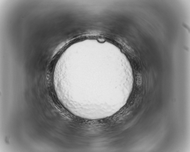 X0000093361208200711081507