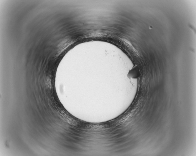 X0000093361209200711081507