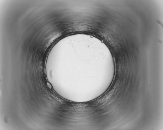 X0000093361210200711081507