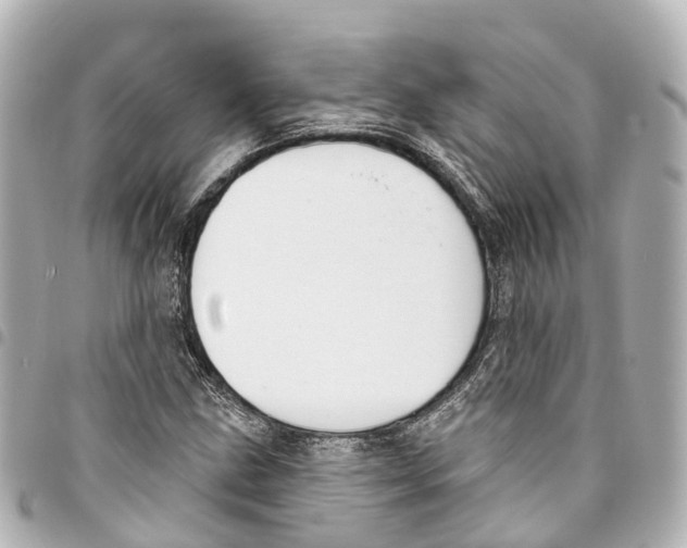 X0000093361211200711081507