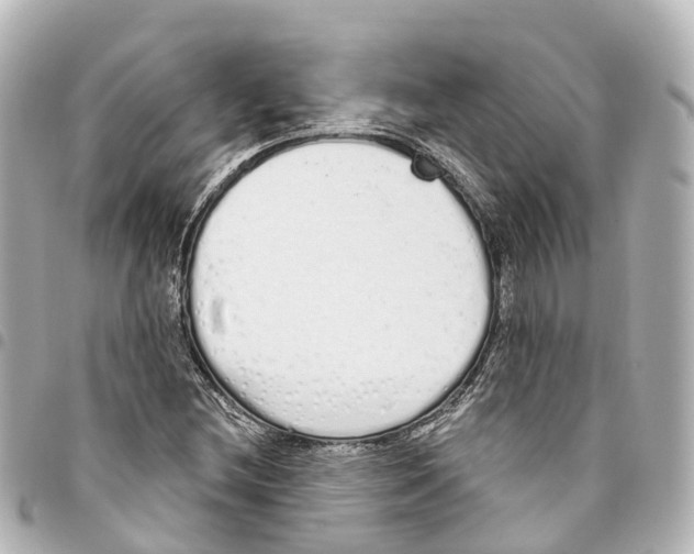 X0000093361212200711081507