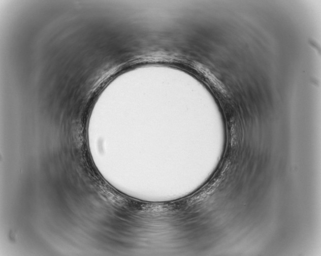 X0000093361213200711081507