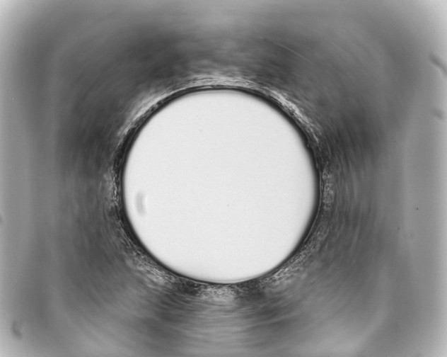 X0000093361215200711081507