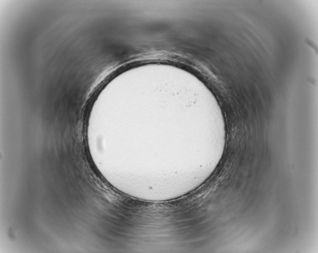 X0000093361216200711081507